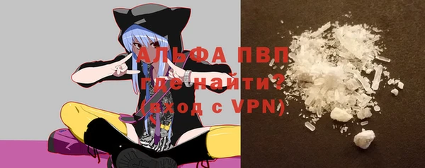 стаф Арсеньев
