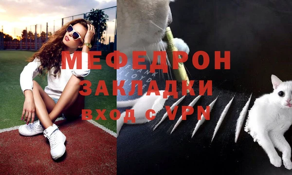 стаф Арсеньев