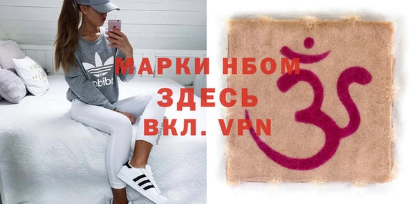 стаф Арсеньев