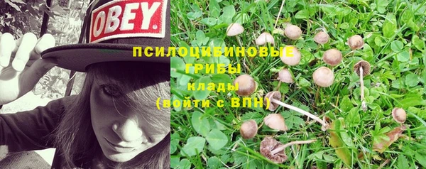 спиды Балабаново