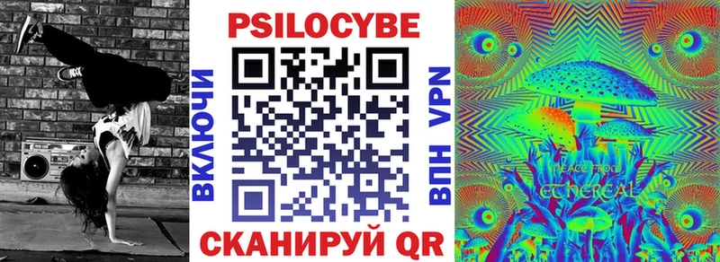 Псилоцибиновые грибы Cubensis  дарнет шоп  Межгорье 